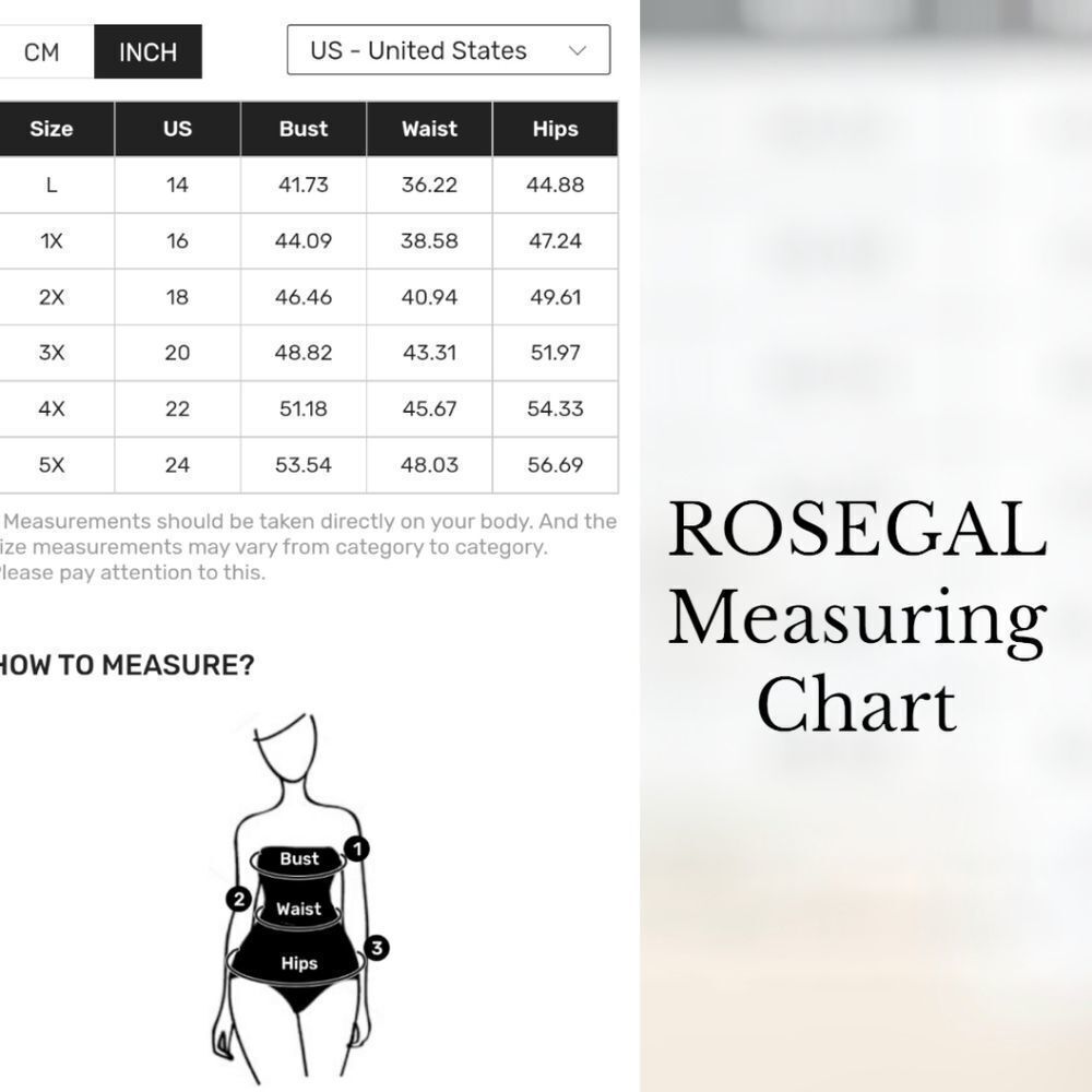 ROSEGAL Ombre Lattice Floral Embroidered Applique Two- Piece Plus Size Swimsuit - Picture 15 of 16